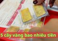 5 cây vàng bao nhiêu tiền